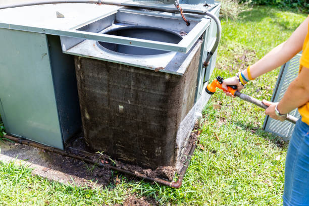 Air Duct Mold Removal in KS